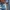 Avant Garde Track jacket Pria blue photo 2