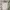 As Roma Third 25/26 Player issue photo 2