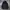The North Face Sportswear Casual Track jacket Pria multicolor navy photo 6