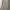 hoodie green mint capucon photo 2
