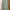 hoodie green mint capucon photo 1