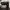Converse Streetwear Sportswear Sneakers Pria white photo 2