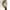 Minimalist Casual Watch Pria green black photo 3