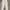Zara white button pants photo 1