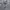 Polo Ralph Lauren Luxury Minimalist Cardigan Wanita gray photo 2