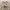 Celana Cargo cream baloon pants baggy photo 4