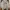 GAP Athletic Half-Zip Sweatshirt Grey photo 1