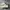 Adidas Sportswear Minimalist Sneakers Wanita white photo 1