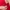 Love Bonito Casual Midi dress Wanita red photo 2
