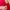 Love Bonito Casual Midi Dress Wanita Red
