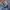 Longpants fubu baggy jeans photo 5