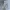 Nike Streetwear Sportswear Track jacket Pria white black photo 3