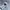 Nike Streetwear Sportswear Track jacket Pria white black photo 1