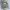 Nike Streetwear Sportswear Sweater Pria Gray