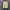 White Skirt  photo 2