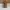 TAS LONGCHAMP LE PLIAGE EXTRA SMALL photo 3