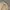 Vintage Streetwear Pria tan photo 5