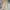 Vintage Streetwear Pria tan photo 4