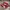 Puma Casual Sneakers Pria red black photo 1