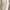 Et Cetera White Cropped Shirt Oversized Batwing Sleeve photo 8