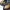 CLARKS sepatu kasual sport Ringan Kulit Pria photo 6