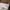 Lee Cooper Y2K Casual Formal pants Pria cream photo 1