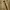 Jeans de Luxe beige photo 2