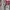 Casual Hoody Kids multicolor photo 2