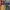 Casual Hoody Kids multicolor photo 1