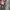 Casual Hoody Kids multicolor photo 4