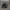 Vans Authentic Pro Black  photo 1