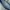short bordir cut photo 6