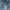 short bordir cut photo 5