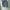C.P. Company Casual Sweater Pria white gray photo 1