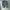 C.P. Company Casual Sweater Pria White Gray