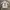 Jersey Supreme Ducati White photo 7