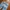 Diesel Industry Busky Washed Blue Loose Jeans photo 6