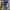 ELLE Luxury Casual Babydoll dress Wanita blue photo 2