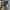 ELLE Luxury Casual Babydoll Dress Wanita Blue
