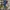 ELLE Luxury Casual Babydoll dress Wanita blue photo 3