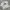 Vintage Y2K Crop top Wanita white photo 3