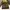 Rennes fur jacket  photo 5