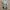 Decathlon Quechua Backpack NH100 Beige photo 2