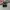 Salomon XT-6 S/LAB Adv Gray Silver photo 5