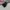 Vans Sk8 Low Skate Pro Marshmallow photo 3