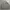 Nike Back Center Windbreaker Jacket Grey