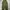 Japanese Brand Vintage Y2K Suit Pria Burgundy Brown