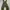 Japanese brand Vintage Y2K Suit Pria burgundy brown photo 5