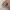 EDWIN Vintage Casual Harrington jacket Pria tan photo 4