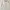 Cottonink Off-White Boxy Shirt Asymmetric Wave Hem photo 1